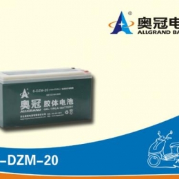 奥冠电池8-DZM-20