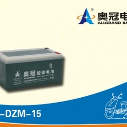 奥冠电池8-DZM-15