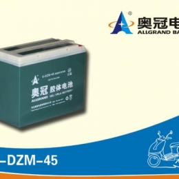 奥冠电池6-DZM-45