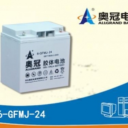 奥冠电池6-GFMJ-24