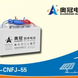 奥冠电池6-CNFJ-55